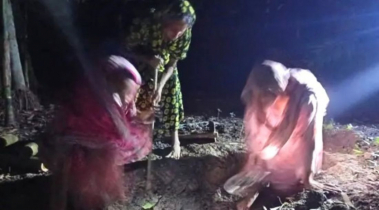 জামায়াতের তদন্ত কমিটি গঠন, জড়িত থাকলে শাস্তি জামায়াতের তদন্ত কমিটি গঠন, জড়িত থাকলে শাস্তি